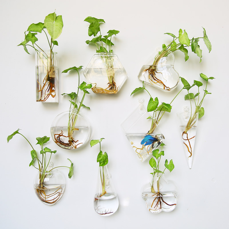 Self Watering Planter - Wall Hanging Glass Terrarium - Self-Watering