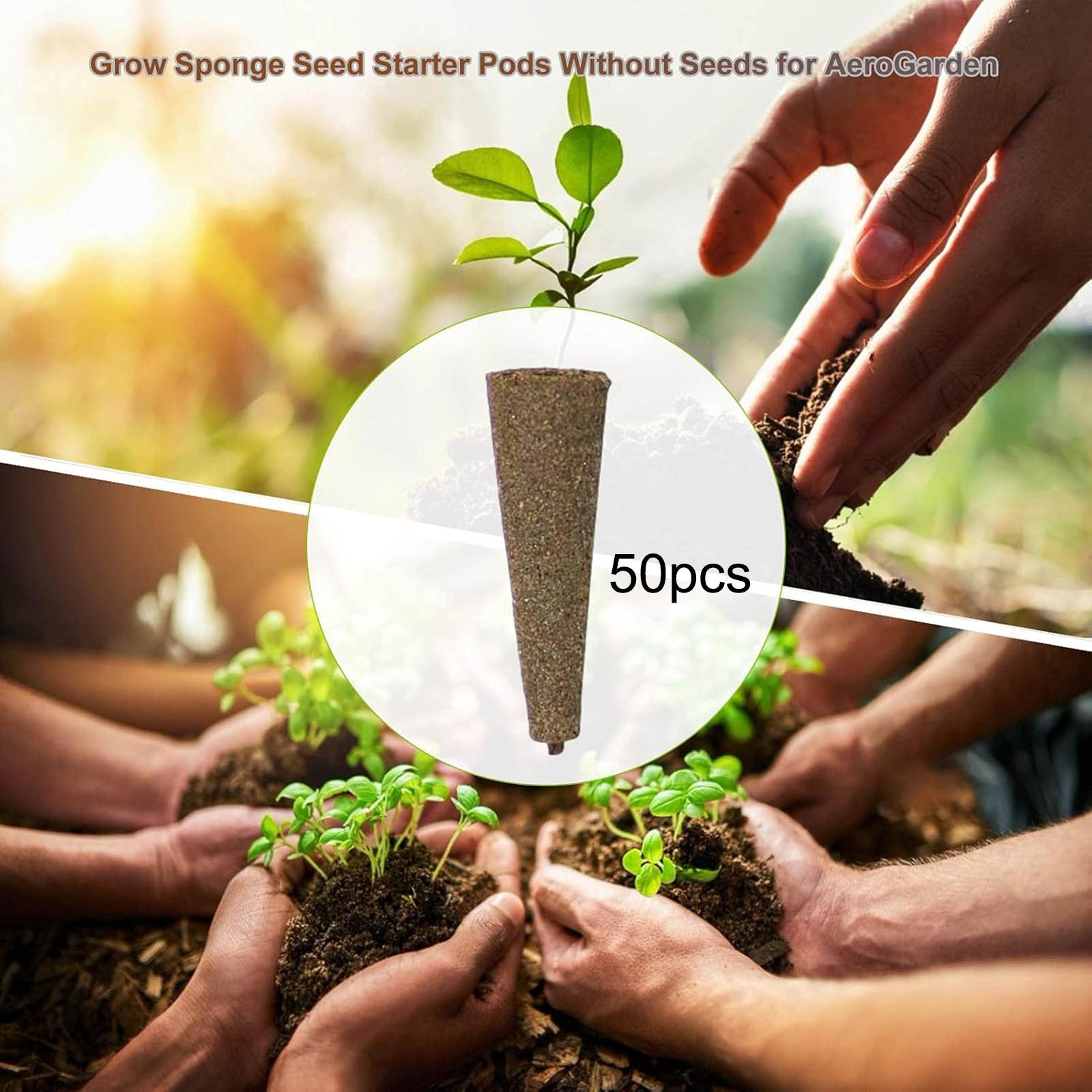 50Pcs Grow Sponges Root Growth - Hydroponic Grow Pod ulasan dan harga