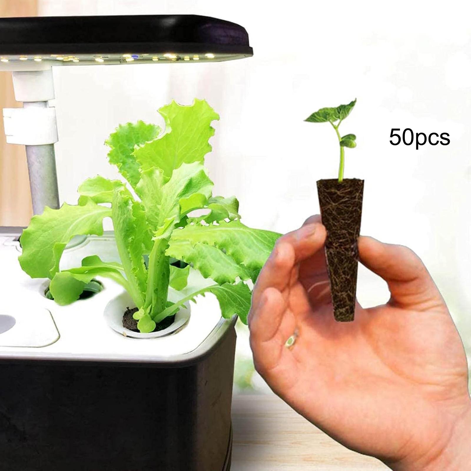 50Pcs Grow Sponges Root Growth - Hydroponic Grow Pod ulasan dan harga