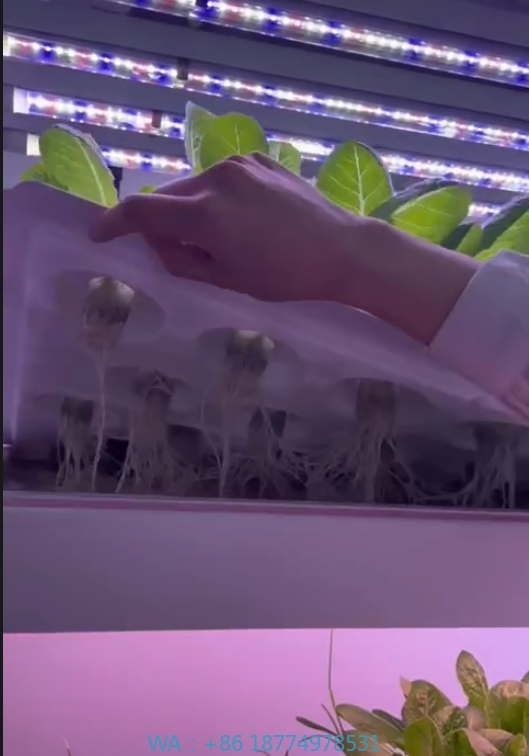 f Greenhouse Agricultural Equi - Hydroponic Tower ulasan dan harga