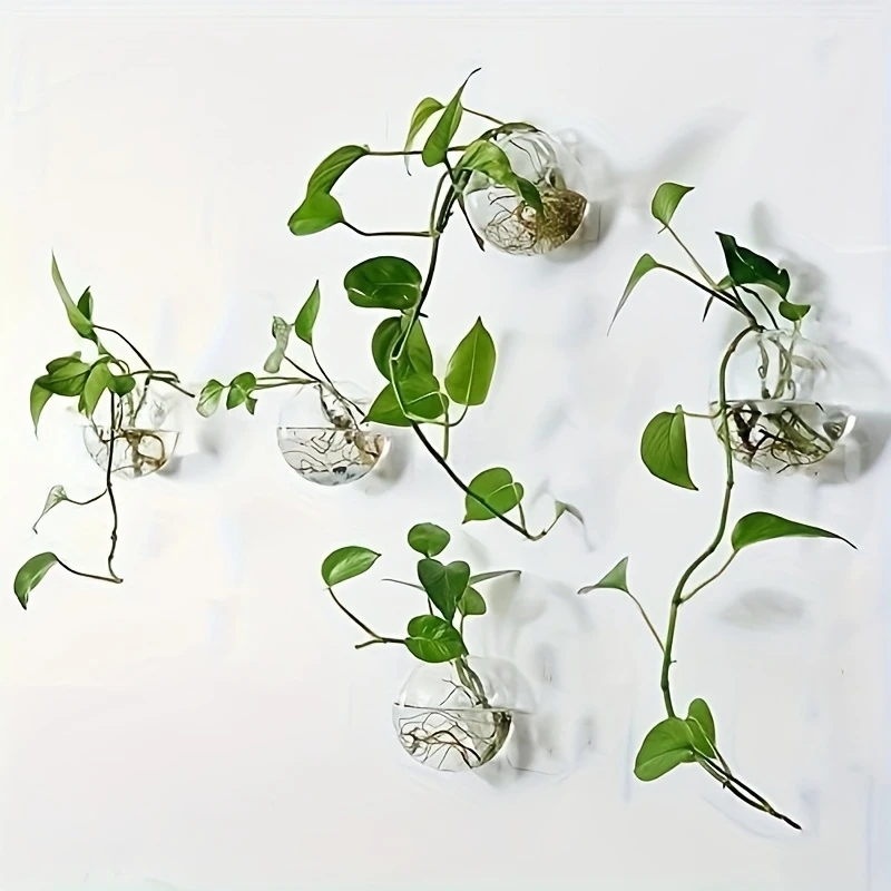2/4/6 Pack Wall Hanging Glass  - Self Watering Planter ulasan dan harga