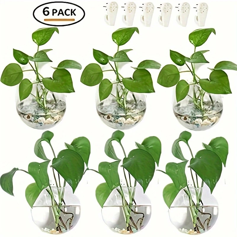 2/4/6 Pack Wall Hanging Glass  - Self Watering Planter ulasan dan harga
