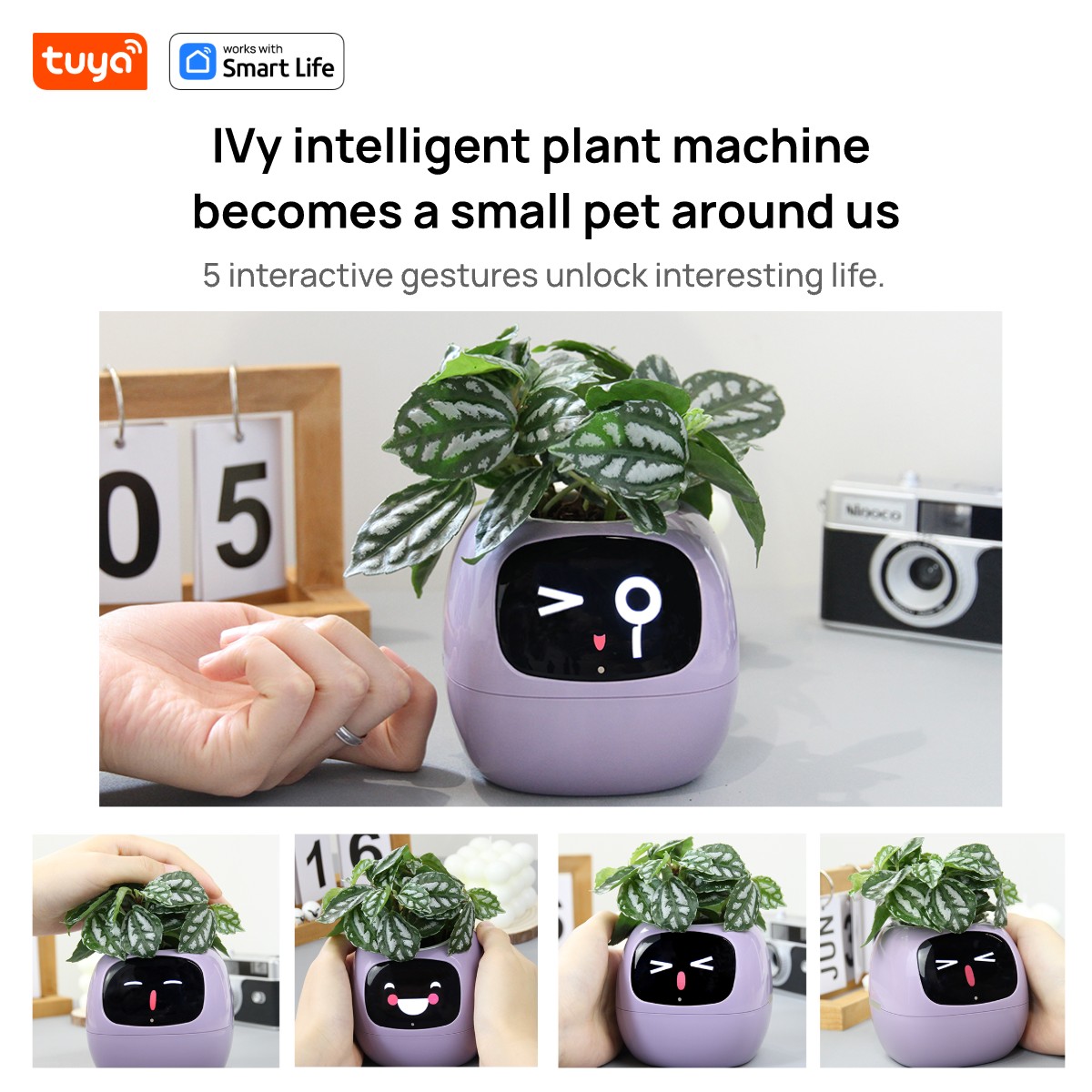 pink Tuya Ivy Smart Planter,En - Smart Pot ulasan dan harga
