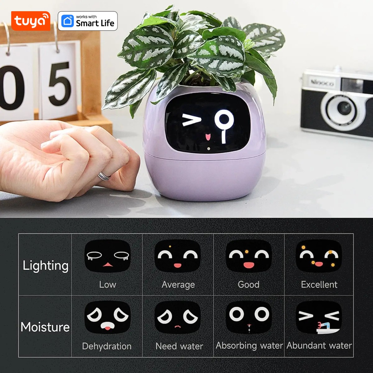 pink Tuya Ivy Smart Planter,En - Smart Pot ulasan dan harga