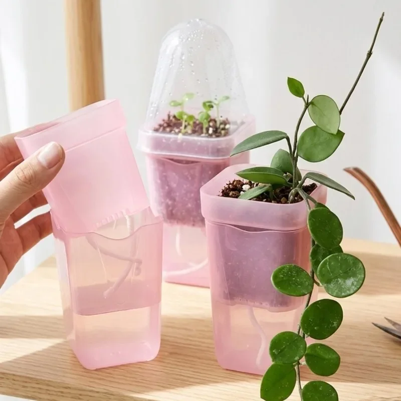 Transparent Pink Self Watering - Self Watering Planter ulasan dan harga