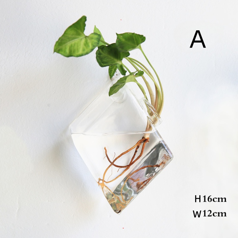 Wall Hanging Glass Terrarium - - Self Watering Planter ulasan dan harga