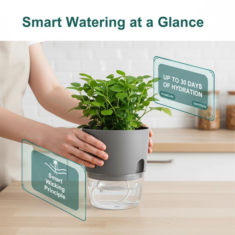 1Pcs Plastic Planters Transpar - Hydroponic Grow Pod ulasan dan harga