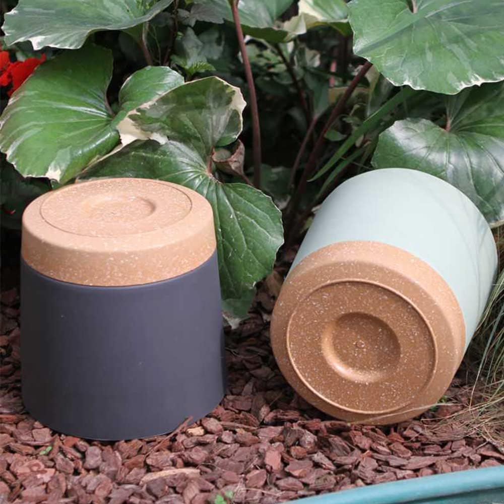 Plant POTS, lightweight Large  - Self Watering Planter ulasan dan harga