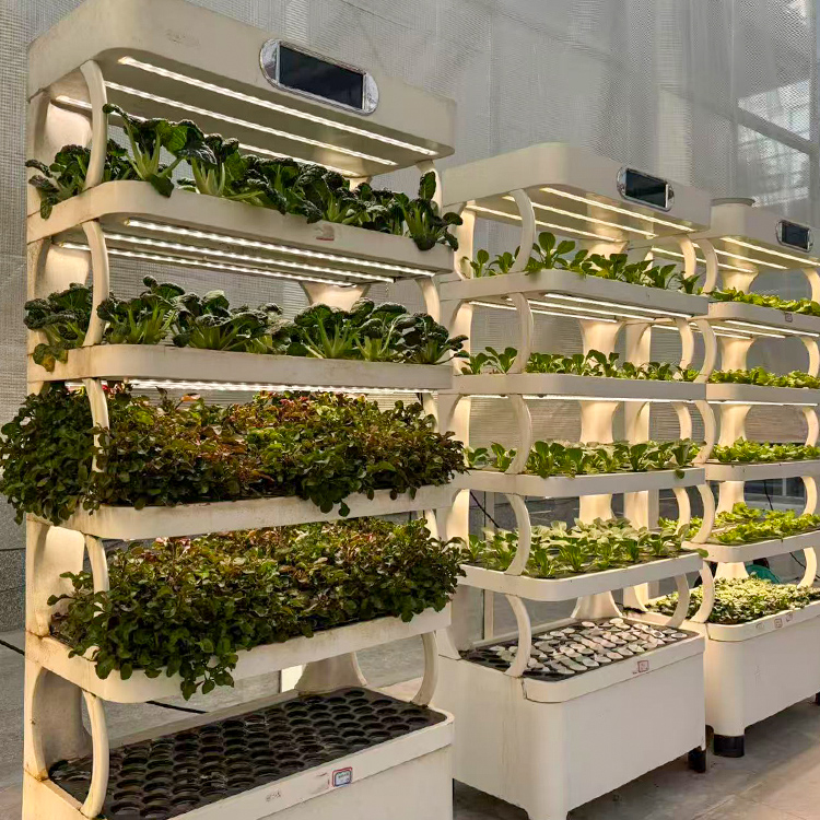 Intelligent Indoor Garden Plan - Grow Light Led ulasan dan harga