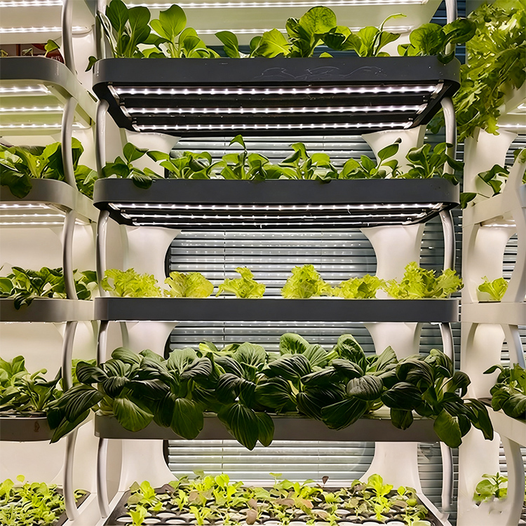 Intelligent Indoor Garden Plan - Grow Light Led ulasan dan harga